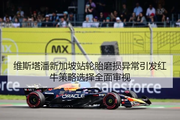 维斯塔潘新加坡站轮胎磨损异常引发红牛策略选择全面审视